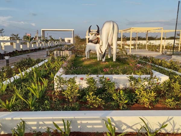budget friendly plots for sale